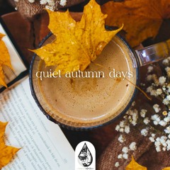 quiet autumn days 🍁 ☕ - an acoustic/folk/chill playlist