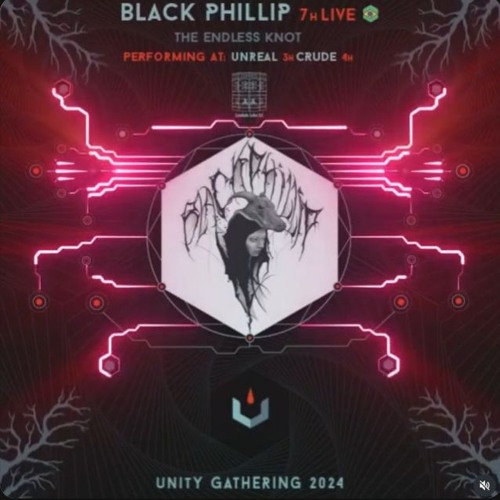 Unity Gathering 2024 - BLACK PHILLIP LIVE (Part2)