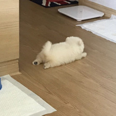 비스듬히 너에게