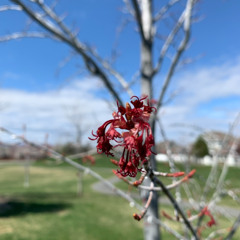spring25 pt 2 w/ @counter @luckeyknows @cxrter @sd23 @pvthfindxr @swanz @joker @myriadtruths @adrienciel @13shadoww @maf1nb3ats @burberryty @yyajura @prodbywinny @delta