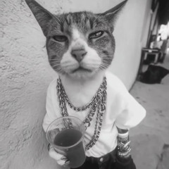 Scratch´s-Cat