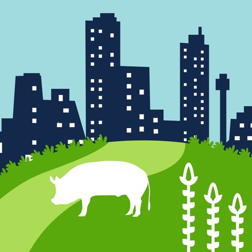 National Farm City Week | University of Illinois Extension