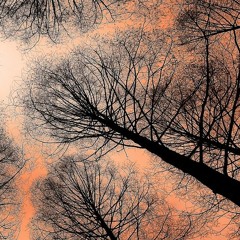 Windbroken : written by Liz Kyfer : read by @megwaf