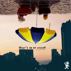 What's on my Stick (Vol. 2)