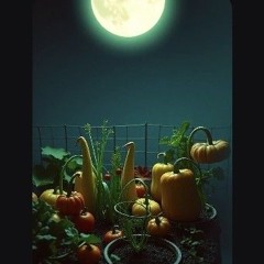 Вершки и Корешки (Егор Летов)..mp3