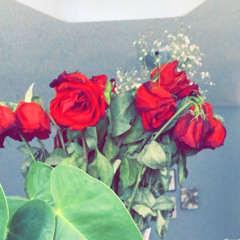 diamonds edit audio (turn up volume)