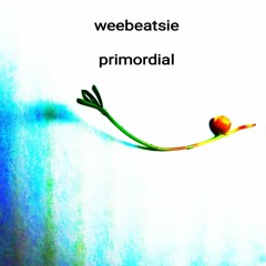 DRIFTING INTO SPACEWONK