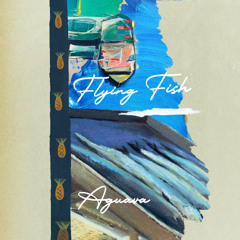Flying Fish (Extended Mix)
