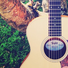 Horses Run On The Cloud