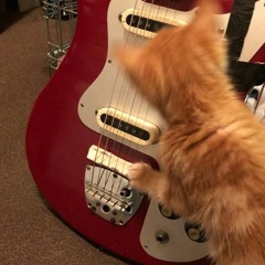 Shoegaze, dreampop & psych playlist #243*