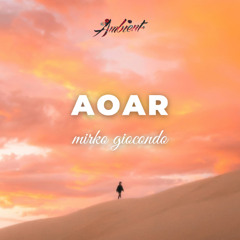 mirko giocondo - AOAR