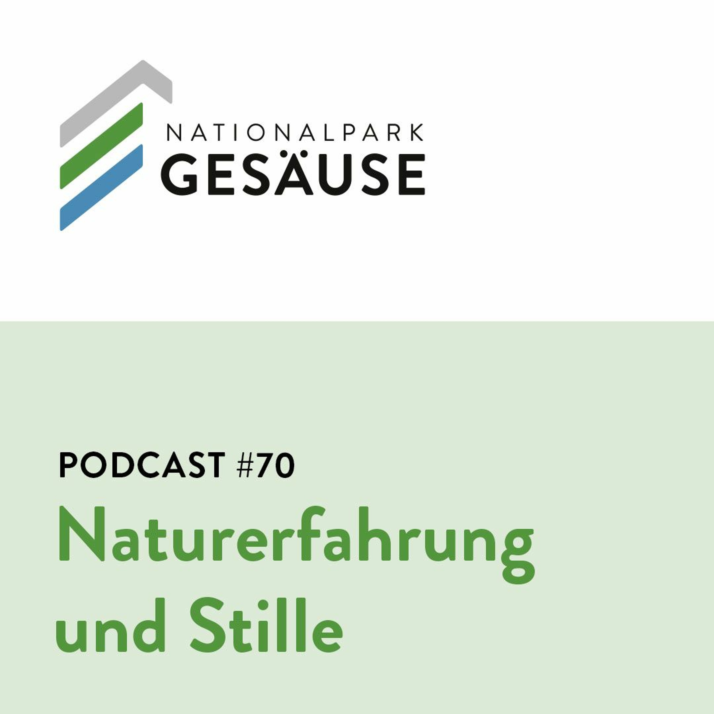 Podcast #70 - Naturerfahrung und Stille episode artwork