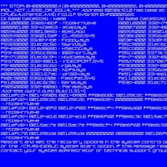 BLUE SCREEN OF DEATH