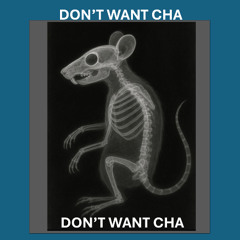 DON'T WANT CHA