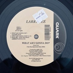 Feat Larry Tee - What am i gonna do ( did it free mix) req repost