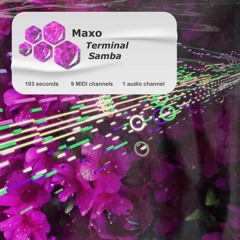 Terminal Samba