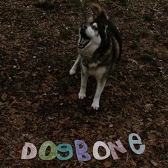 Dogs