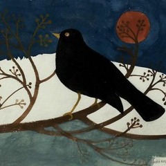Midnight Blackbird
