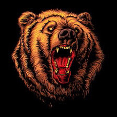 Bear Attack