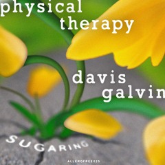 Physical Therapy & Davis Galvin - Sugaring (Facta Dub)