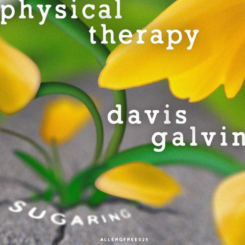 Physical Therapy & Davis Galvin - Sugaring [ALLERGYFREE025]