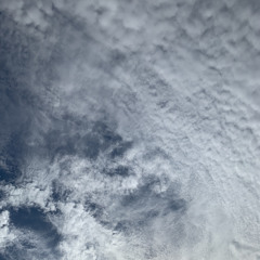 Chopin - Nocturne in E flat Major Op. 9, No. 2 (Cover)