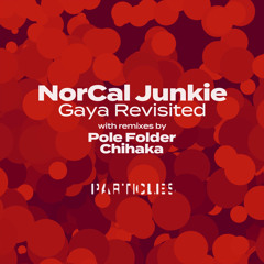 Norcal Junkie - Gaya Revisited (Pole Folder Remix)