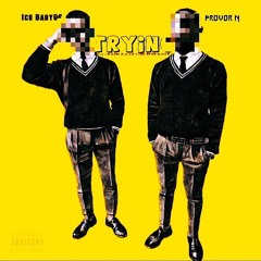 Trying(Feat. Provor N)