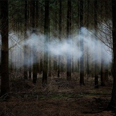 Dream Uneasy
