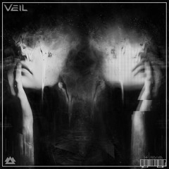 VEIL - THE UNKNOWN
