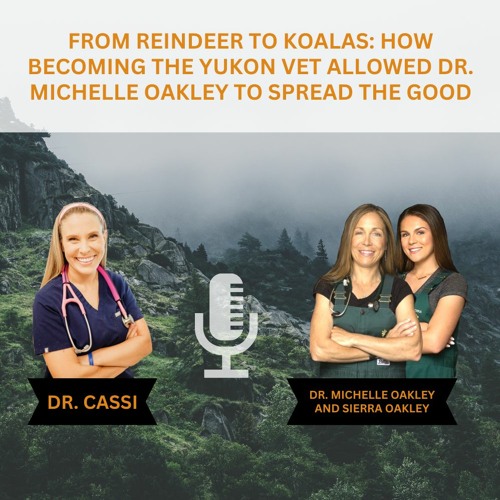 Stream episode From Reindeer to Koalas: How Becoming the Yukon Vet Allowed  Dr. Michelle Oakley to Spread the Good by VetFolio podcast | Listen online  for free on SoundCloud