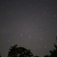 DONT BR!NG YOUR FR!ENDS!