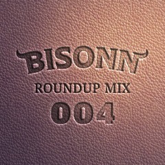 Roundup Mix 004 (Tech House / Bass House)