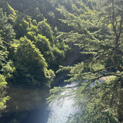 Kurt Cobain (with Gong Cha Gazillionaire)