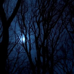 The Moon Turned Violet