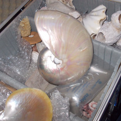 Lucky for You - Novo Amor (cover)