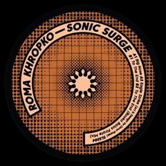To the End (Bosko Balos Pirate Mix)