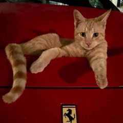 foreign keys(whatshappencontrol)