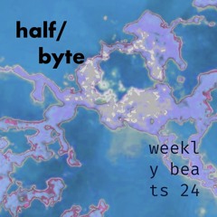WB2421 It's a Mood
