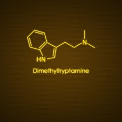 musti040 Dezember Psytrance Set