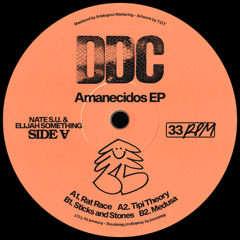 A2. Nate S.U & Elijah Something ─ Tipi Theory [DDC009]