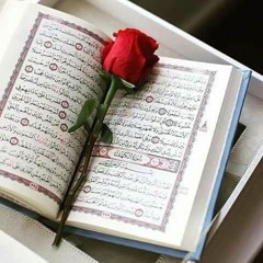 قرآننا - عبد العزيز عبد الغني