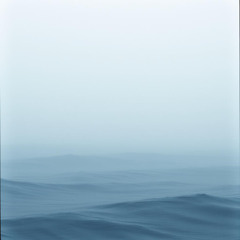 FOG IN THE PLAIN