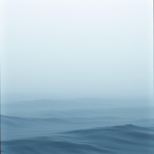FOG IN THE PLAIN