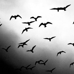 COME IN AND THROW FT. LILA PANIC (2019)