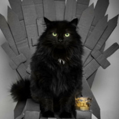 Iron Throne Shadows