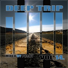 DEEP TRIP VOL. 14. (Mixed By Porky)