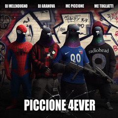 Dj Melendugno x Dj Aranova x MC PICCIONE x Mc Togliatti PICCIONE 4EVER