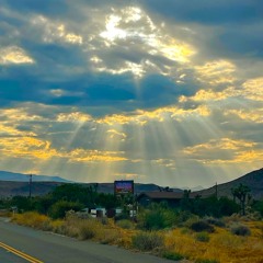 Summer in the Desert