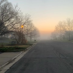 A mind that never sleeps